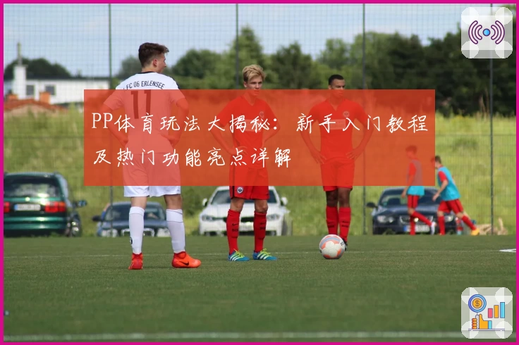 PP体育玩法大揭秘：新手入门教程及热门功能亮点详解